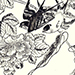 Multiple Artists Gallery